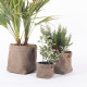 Cache pot PLANTER