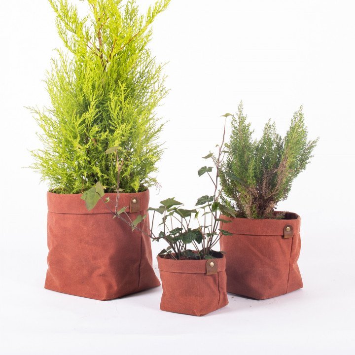 Set de Cache pot original PLANTER