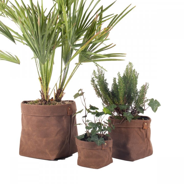 Set de Cache pot original PLANTER