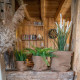 Cache pot PLANTER