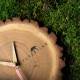 FORESTIME modern wood wall clock