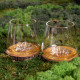 Set de 2 verres Topographic : Everest et Mont Blanc