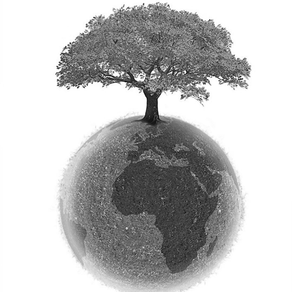 Image symbolisant l'éco-responsabilité, un arbre géant qui tient sur toute la planète Eco-responsabilité